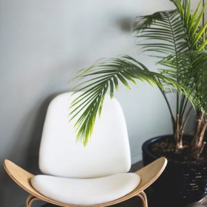 Modern Chair
